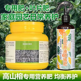 高山榕专用肥料种植绿植花盆栽树苗专用土营养液叶面肥水溶化肥料