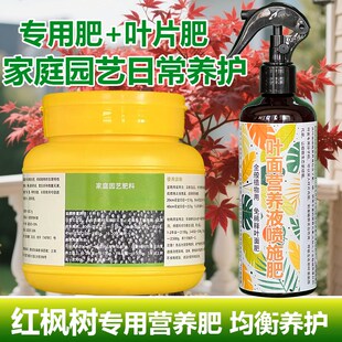 红枫树专用肥料盆栽羽毛枫黄金流泉枫金隐秋月土壤营养液叶面肥料