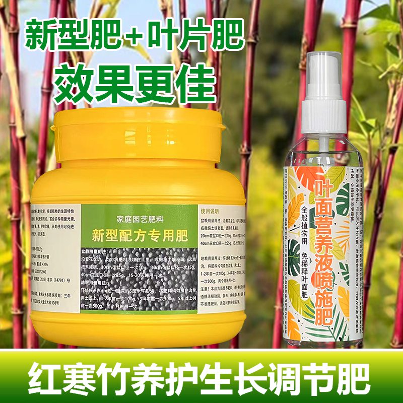红寒竹专用肥内门竹室内水培营养液紫竹紫寒竹子红观音竹盆栽肥料