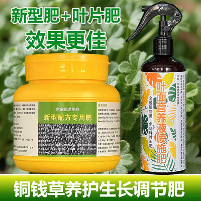 铜钱草专用肥料小苗花盆栽水培植物营养液花肥专用土培水溶化肥料