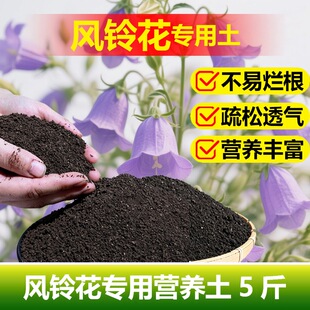 风铃花专用土料盆栽花树植物营养土风铃花草种子种植促开花肥家用