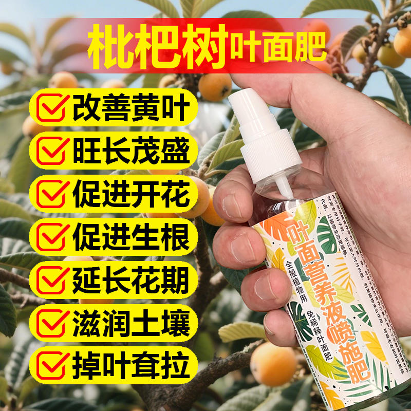 枇杷果树专用肥料盆栽种植枇杷树苗营养液发黄干枯焦下垂叶面肥料