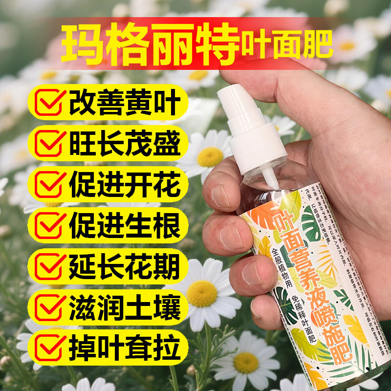 玛格丽特专用肥料土营养液长花苞开花肥发芽爆盆小苗旺长叶面肥料