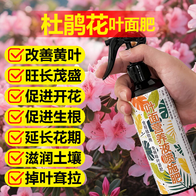 杜鹃花专用肥料盆景花卉养殖营养液老桩盆栽花苗花树花肥土壤肥料