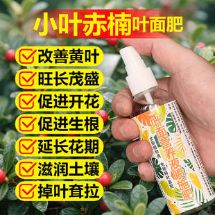 小叶赤楠专用肥料盆栽盆景专用土壤营养液鱼鳞木兰山乌珠叶面肥料