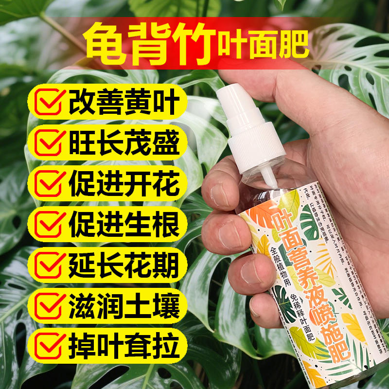 龟背竹专用肥料养护小苗水培土培盆栽复合营养液叶面肥水溶化肥料