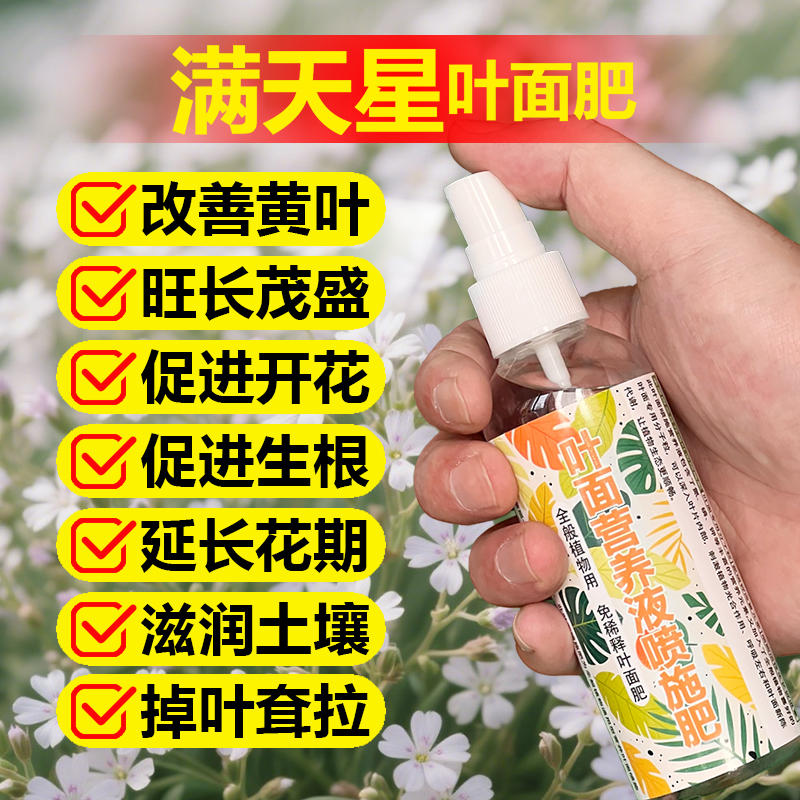 满天星专用肥料盆栽满天星专用土满天星专用营养液叶面肥颗粒肥料