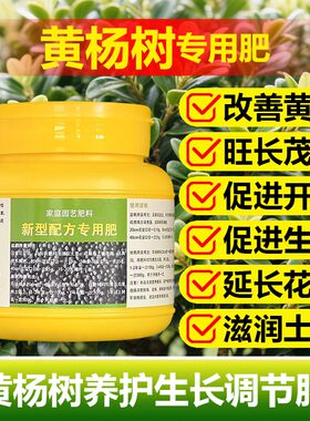 黄杨树苗肥料花肥专用肥营养液瓜子黄杨木养料化肥复合有机肥老桩