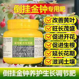 倒挂金钟专用肥料老桩盆栽营养液叶面肥开花旺长生根孕育花苞肥料