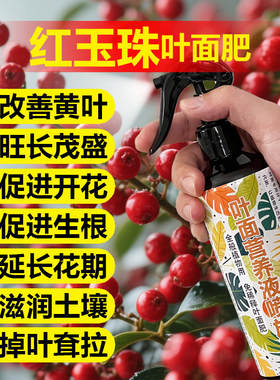 红玉珠专用肥料盆栽绿植物土壤复合营养液叶面肥叶面肥水溶化肥料