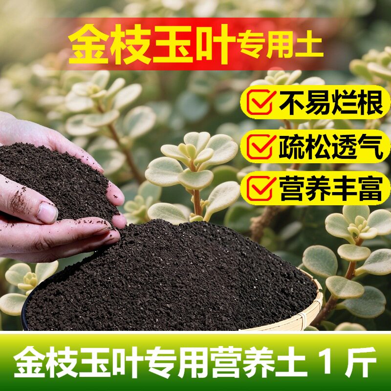 金枝玉叶专用土料老桩盆景多肉植物土壤复合营养土有机花卉土家用图片