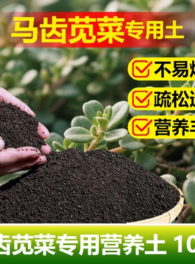 马齿苋菜专用土料盆栽种植物绿色蔬菜有机肥马齿菜营养土土壤家用
