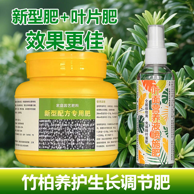 竹柏专用肥料平安竹长寿竹盆栽专用土培水培养护营养液叶面肥肥料