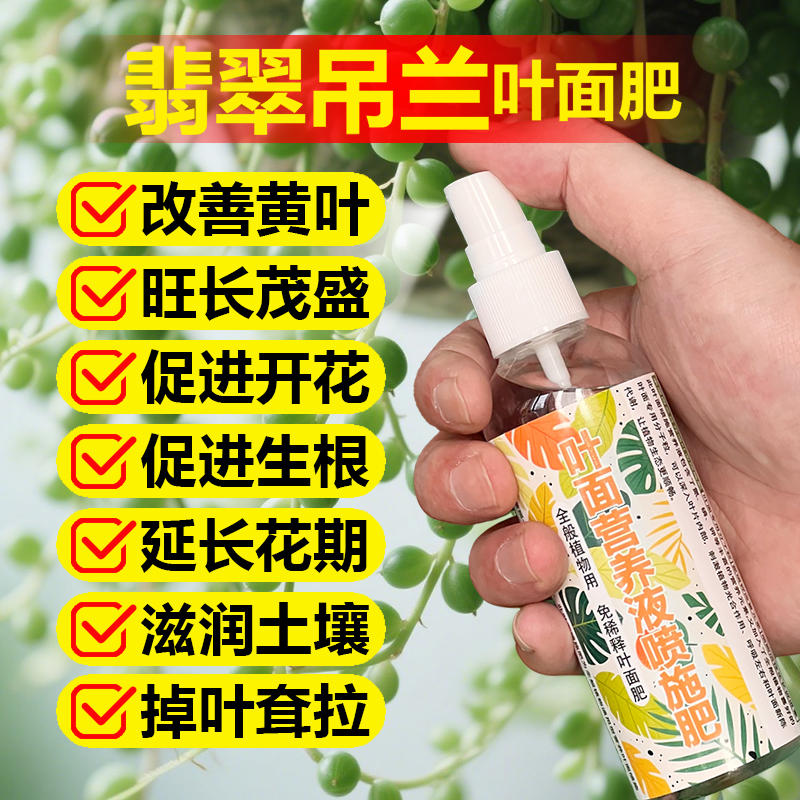 翡翠吊兰专用肥料钻石金边营养液旺长茂盛爆盆翠绿开花肥叶面肥料