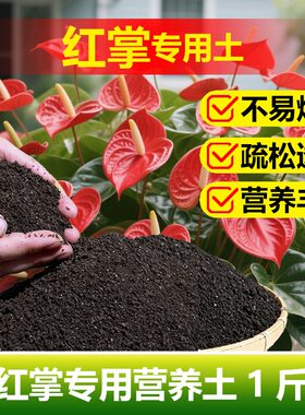 红掌专用土料水培盆栽营养土养护生长根绿植物变黄焦枯斑发黑家用