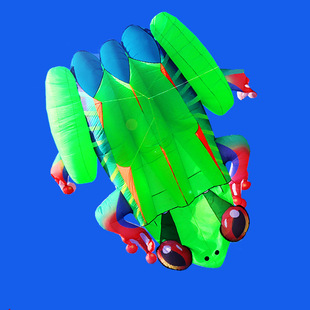 正品大型新款易飞软体风筝青蛙无骨伞布风筝树蛙领航一线牵kite