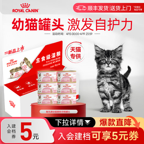 皇家幼猫猫奶糕罐头88g