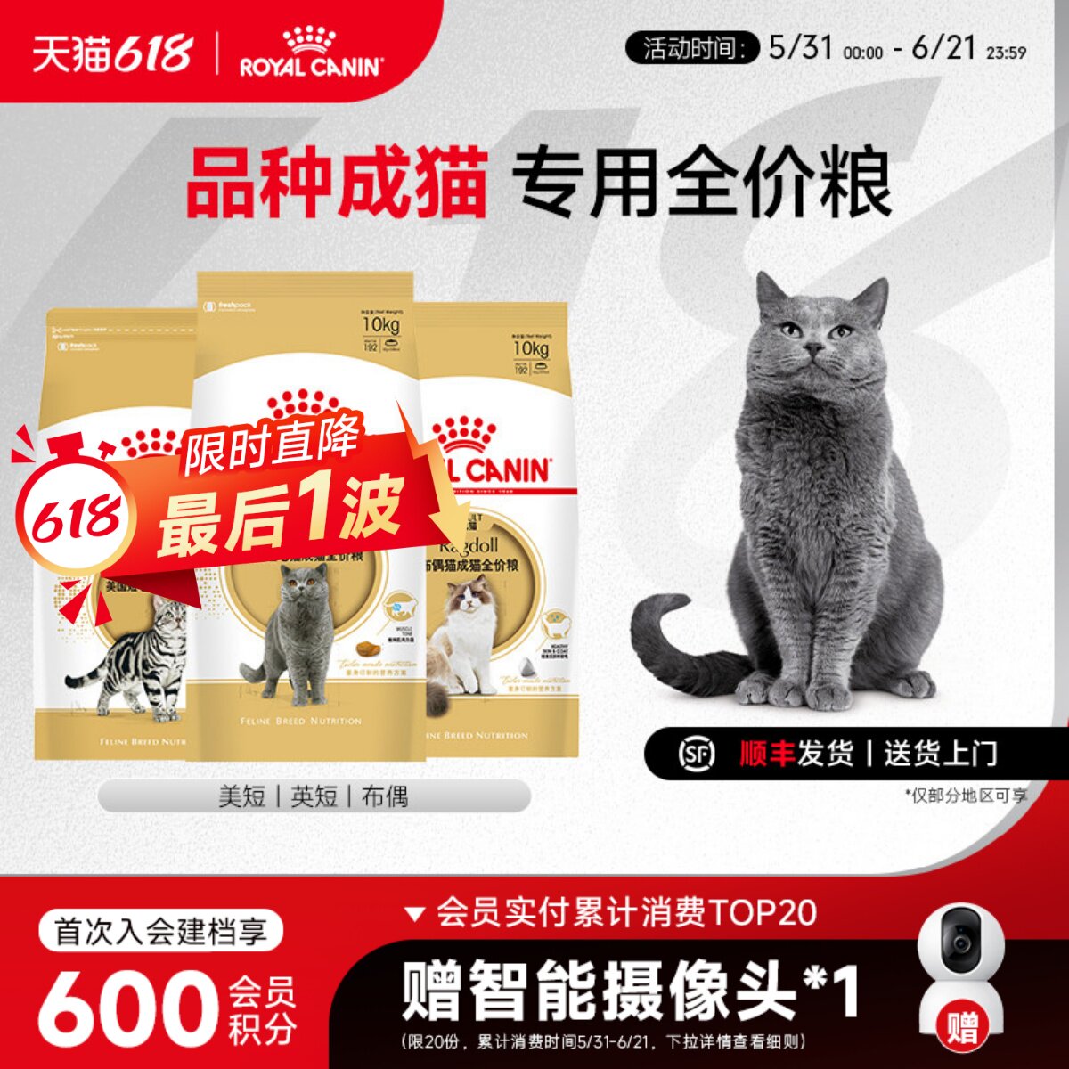 皇家品种类10KG大规格