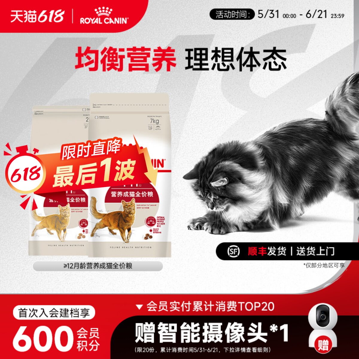 皇家猫粮F32通用猫粮营养成猫粮