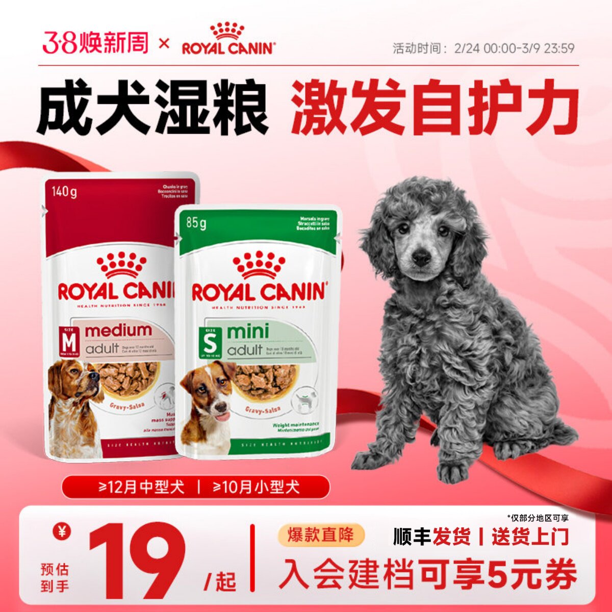 皇家狗粮小型中型成犬通用狗湿粮全价主食级狗狗湿粮比熊博美