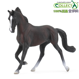 英国CollectA我你他农场动物模型玩具马系列88478纯血母马-黑色