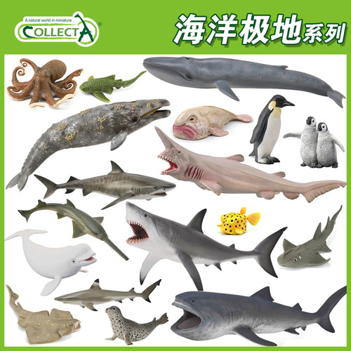 儿童玩具海底世界合集动物模型