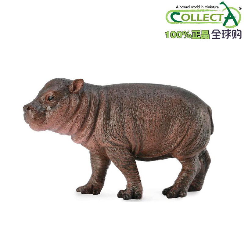 英国collecta我你他仿真野生模型动物玩具男孩88687侏儒河马幼崽