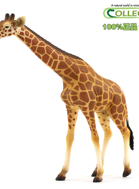 英国CollectA我你他仿真野生模型动物玩具男孩88534网纹长颈鹿