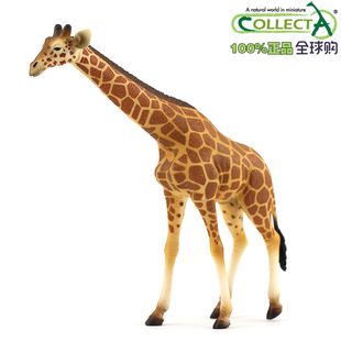 英国CollectA我你他仿真野生模型动物玩具男孩88534网纹长颈鹿