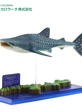 日本原装COLORATA蝴蝶社 海洋动物模型 鲨鱼 鲸鲨 儿童玩具