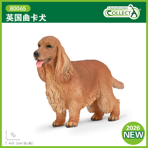 CollectA英国曲卡犬玩具狗模型