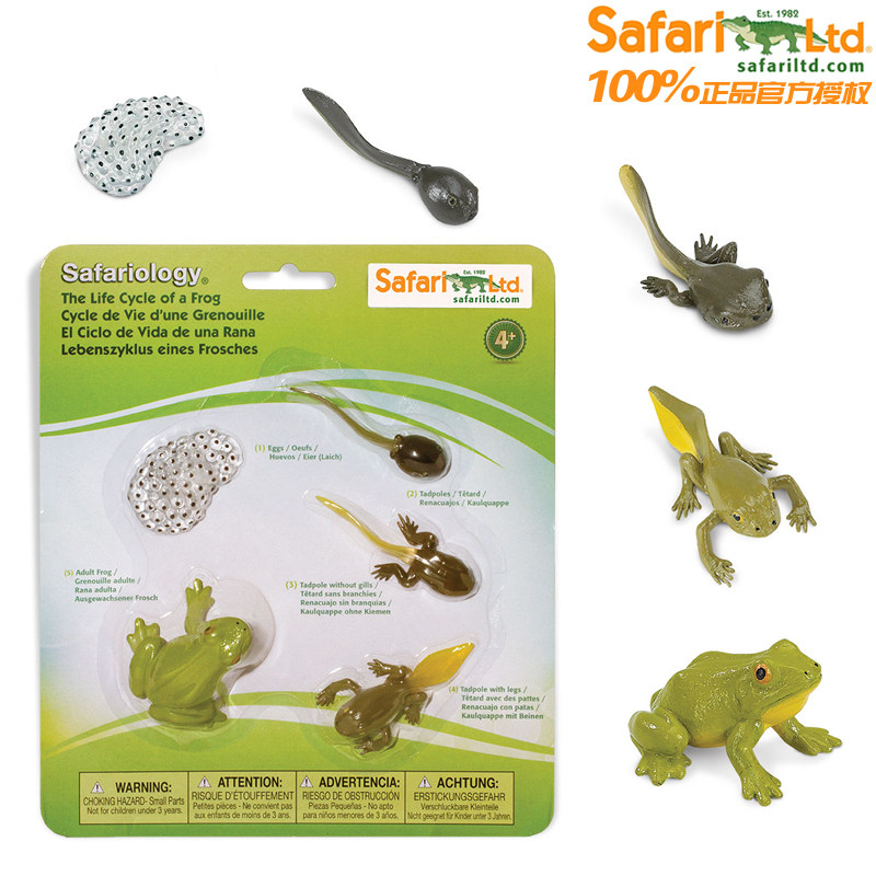 美国safari动物模型玩具儿童科普