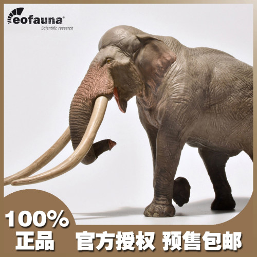 西班牙eofauna仿真菱齿动物模型