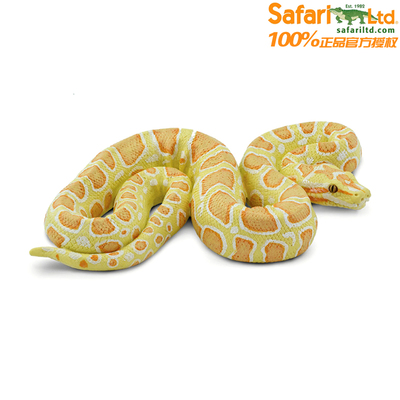 美国仿真模型摆件缅甸野生动物