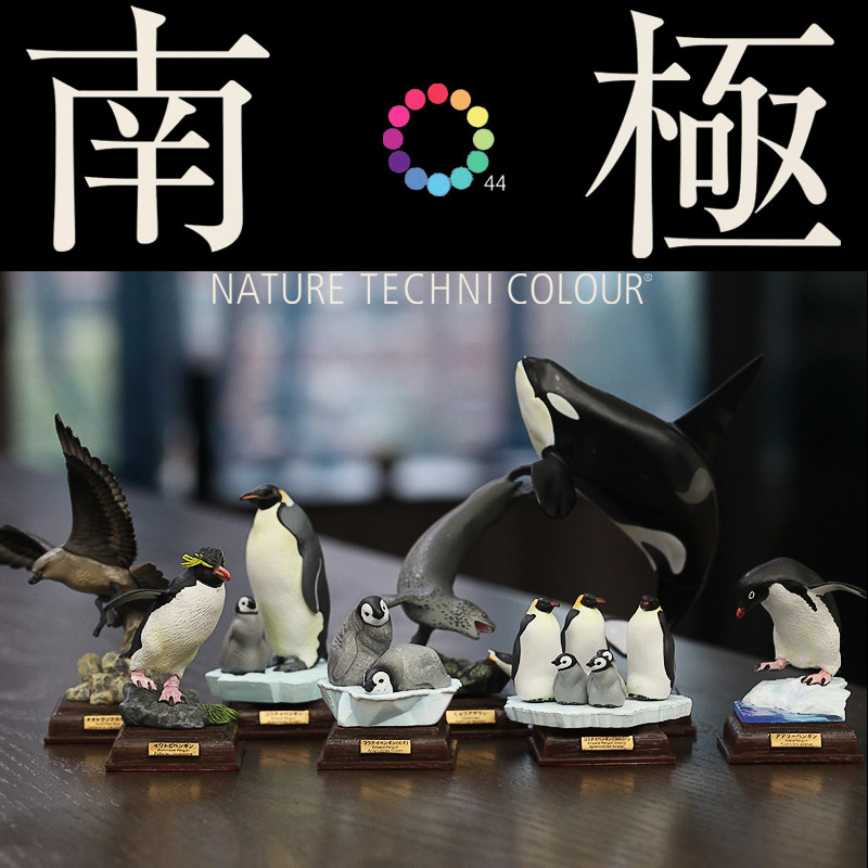 IKIMON奇谭俱乐部正版扭蛋NTC图鉴南极大陆生命纪行动物企鹅摆件