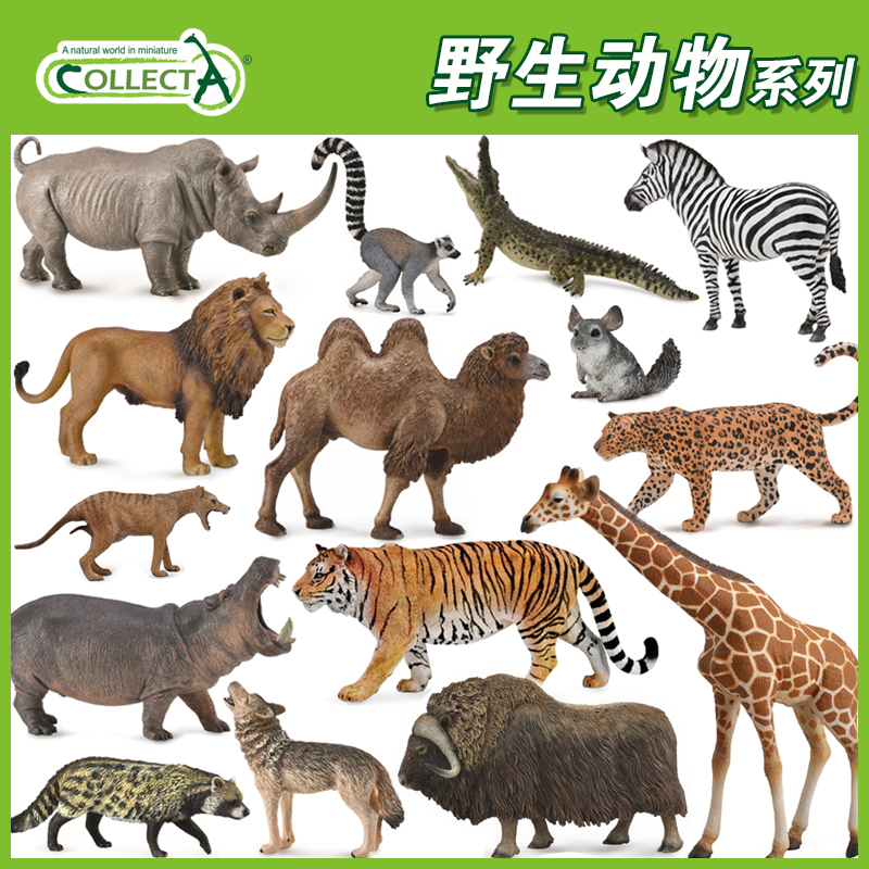 英国我你他仿真野生动物模型玩具