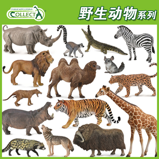 CollectA英国我你他仿真野生动物合集模型玩具认知老虎狮子长颈鹿