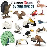 Sile Schleich Đức Bird Raptor Mô hình động vật chính hãng Đồ chơi Kền kền Owl Peacock Bat - Đồ chơi gia đình the gioi do choi cho be