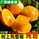 水果整箱当季 冰糖橙蜜桔 橙子新鲜 A级蜂蜜橙 精品广西桂林蜜香橙