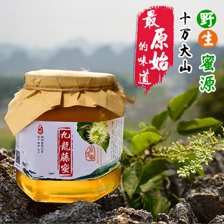 广西九龙藤蜂蜜 正品野生冬蜜 土蜂蜜 百花蜜无污染无添加瓶装1斤