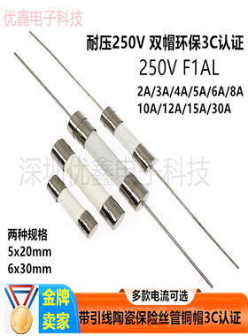 5*20mm/6*30mm带引线脚陶瓷保险丝管快断F0.5A/1A/5A/10A-30A250V
