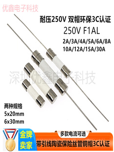 30mm带引线脚陶瓷保险丝管快断F0.5A 30A250V 10A 20mm