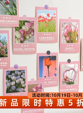 粉色郁金香卡片墙贴浪漫花朵贴画