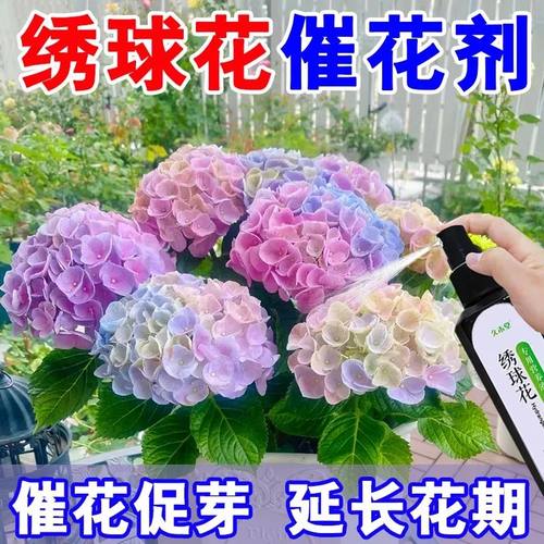 绣球花专用肥料缓释肥颗粒肥