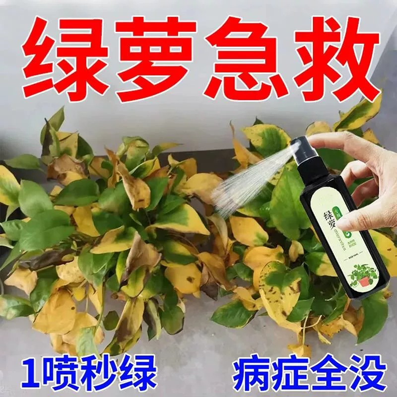 绿萝急救免稀释一喷绿营养液
