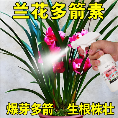 兰花多箭素兰花专用营养液催花延花期治黄叶专用液体肥浓缩