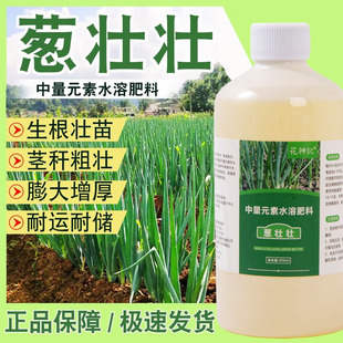 葱壮壮葱专用肥大葱黄叶干尖拉长拉直增粗增产葱壮壮水溶肥