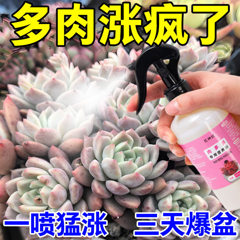 急救】多肉营养液肉多多专用肥治徒长蔫软黑腐化水免稀释新型肥料