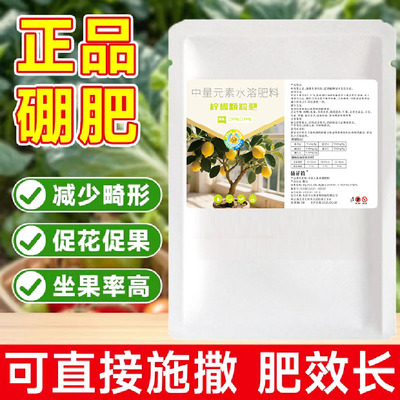 柠檬树肥料专用肥营养液青柠檬盆