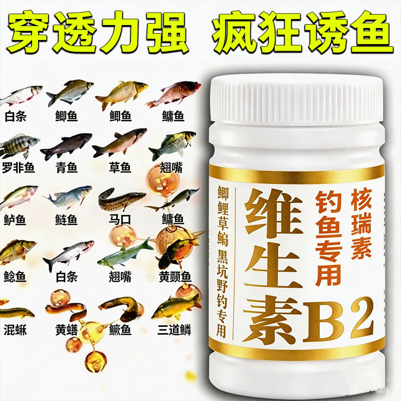 正品维生素b2钓鱼专用野钓诱鱼剂诱食添加剂鲫鱼鲤鱼泡米Vb2鱼饵